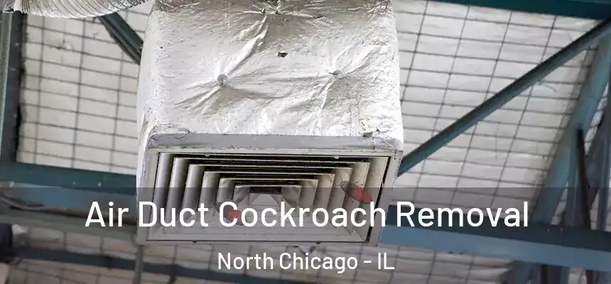 Air Duct Cockroach Removal North Chicago - IL