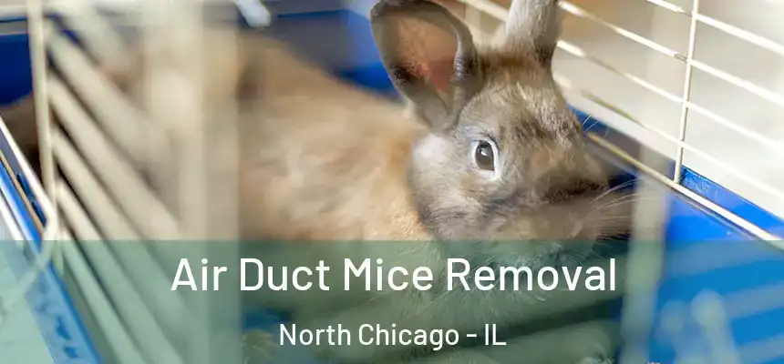  Air Duct Mice Removal North Chicago - IL
