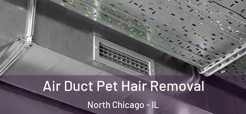  Air Duct Pet Hair Removal North Chicago - IL