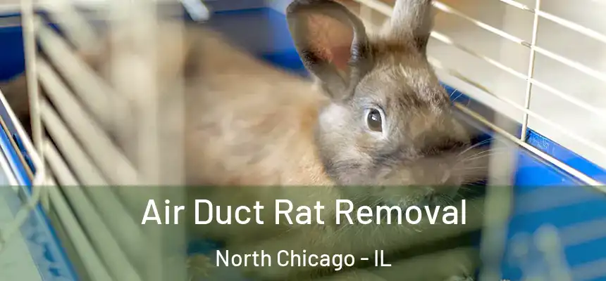  Air Duct Rat Removal North Chicago - IL