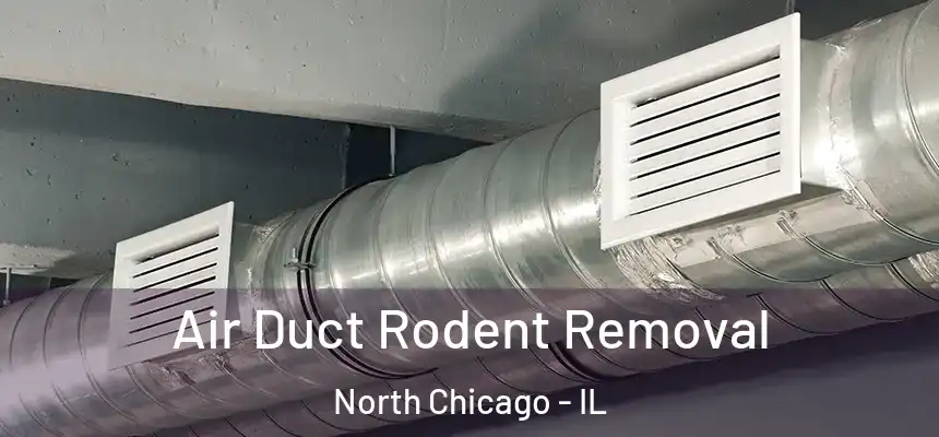  Air Duct Rodent Removal North Chicago - IL