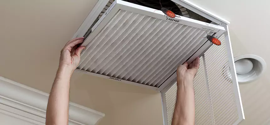 Preventive Cockroach-Proofing for Ducts in North Chicago