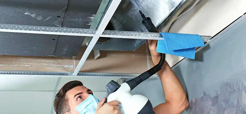 Our Air Duct Rodent Removal Services in North Chicago, IL