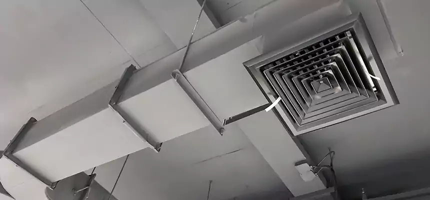 Restorative Allergy Relief Vent Cleaning – Coil, Blower & Housing Detail in North Chicago