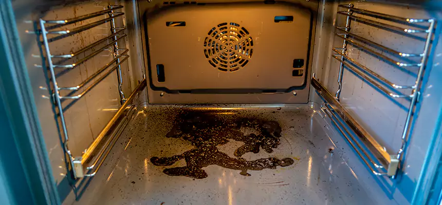 Our Dryer Vent Mold Cleaning Services in North Chicago, IL