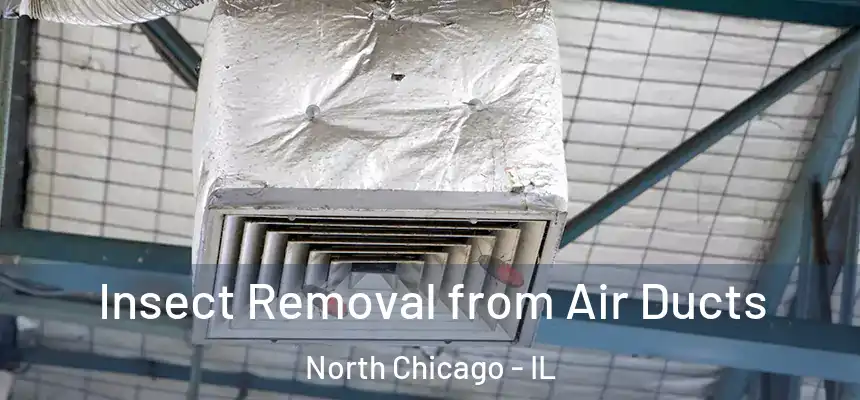  Insect Removal from Air Ducts North Chicago - IL