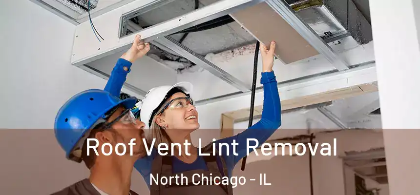  Roof Vent Lint Removal North Chicago - IL