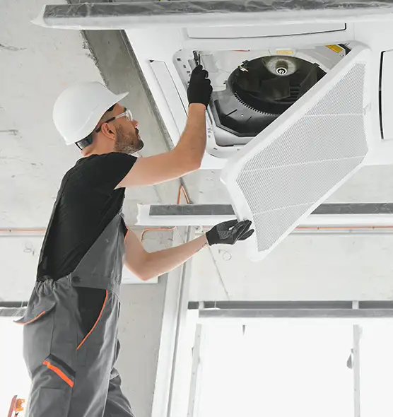 About Air Duct Rodent Removal in North Chicago, IL